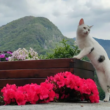 別荘 Villino La Cascata